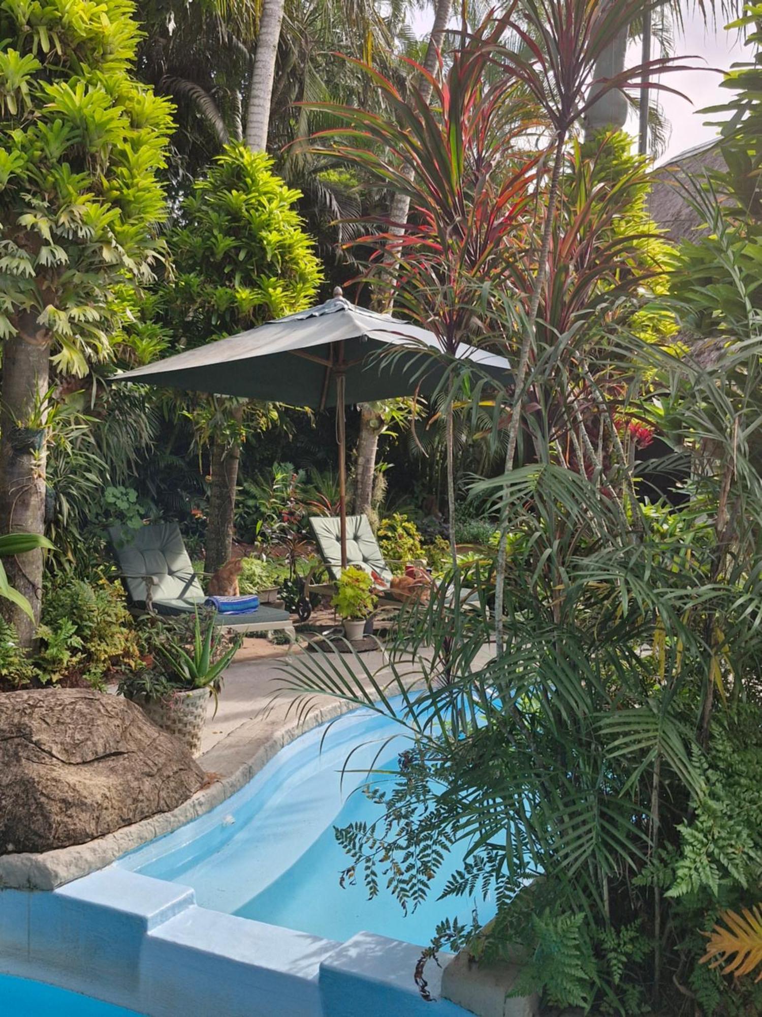 African Ambience Guest House Saint Lucia Estuary Eksteriør bilde