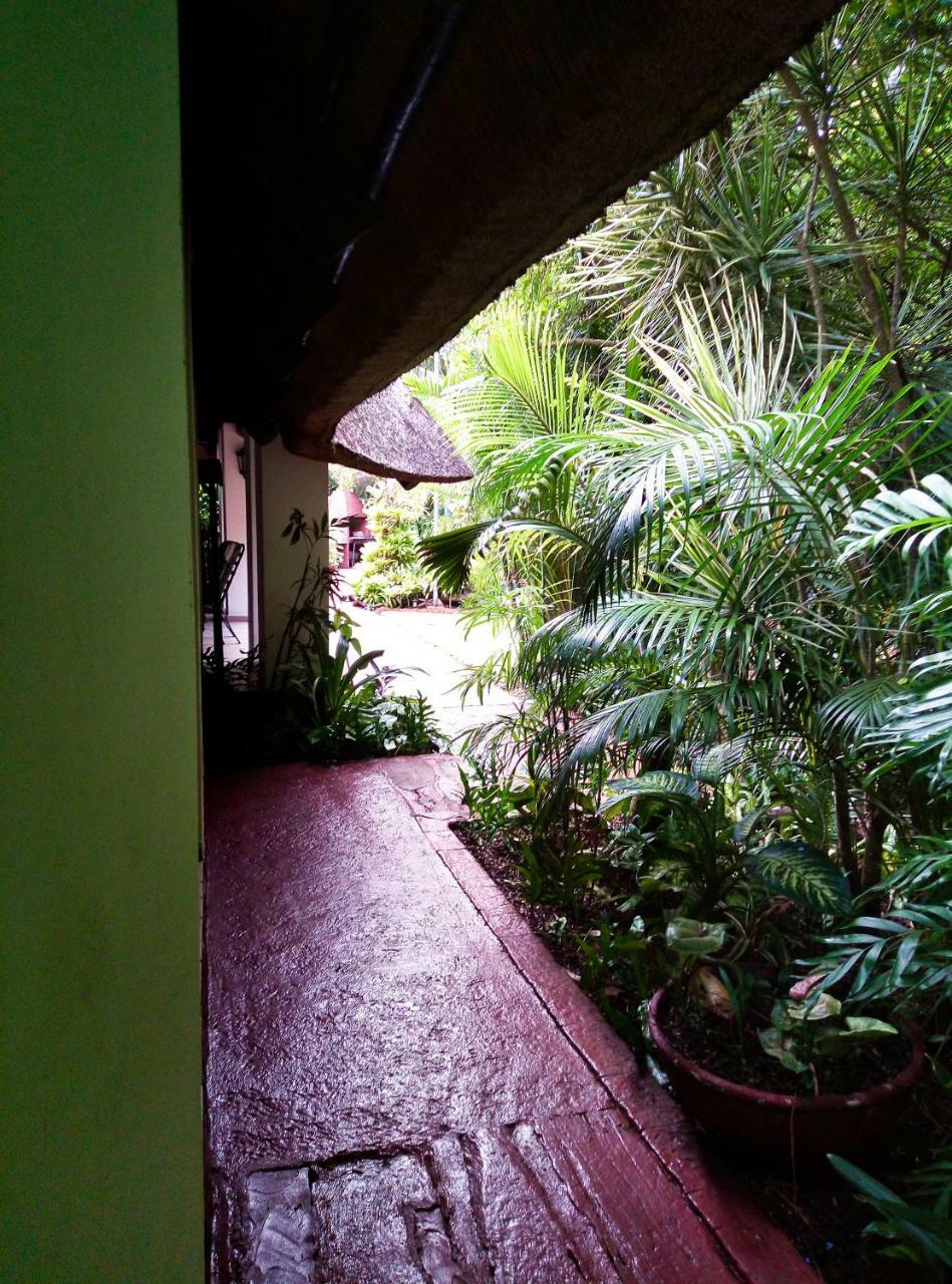 African Ambience Guest House Saint Lucia Estuary Eksteriør bilde
